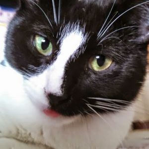 Meet your Posher, Casey